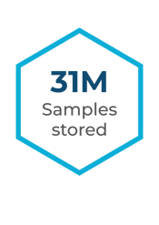 31m samples-1