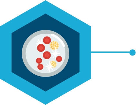 dna-quantification-icon-right